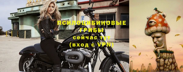 экстази Горняк
